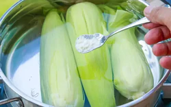 Luộc ngô đừng chỉ biết thêm đường: Thêm 2 thứ "bột trắng" này đảm bảo ngô vừa dẻo vừa ngọt, thơm nức mũi