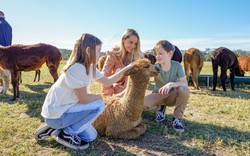 Từ những vườn nho đến mùa hoa rực rỡ: 5 chuyến đi trong ngày tuyệt đẹp từ Sydney