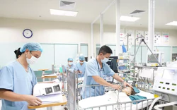 GS.TS Trần Minh Điển: Hiểu đúng quy định về hiến mô, tạng ở trẻ em