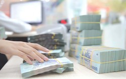 Chính phủ nêu lý do đề xuất phạt vi phạm hành chính đến 3 tỷ đồng