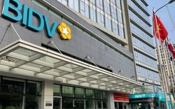 BIDV thu giữ biệt thự tại Vinhomes Riverside của bà Đặng Thị Hương Lan