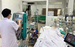 Muỗi khiến nam bệnh nhân 23 tuổi nguy kịch: Cảnh giác khi vừa hết sốt