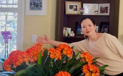 Một người phụ nữ dùng 27 năm nuôi lan quân tử chỉ để chờ đợi cảnh tượng này