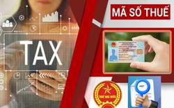 Nóng: Thuế Hà Nội công bố 3 kênh hỗ trợ doanh nghiệp giải thể, khôi phục và đóng mã số thuế
