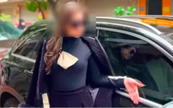 Người phụ nữ cào xước xe Mercedes kháng cáo xin chuyển án tù treo sang phạt tiền