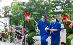 Luân phiên "ốp" nạn nhân nạp thêm tiền, cấp dưới của Mr Pips hỏi: "Chị muốn đau đầu một ngày hay nhiều ngày?"
