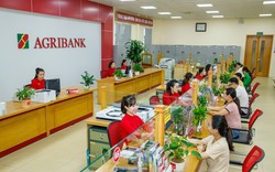 Agribank thông báo: Khách hàng chuyển tiền tới Techcombank, ACB, MSB và 9 ngân hàng khác cần lưu ý