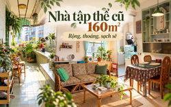 Bỏ căn hộ 50m² để chuyển vào nhà tập thể cũ 160m², ở một thời gian chủ nhà phải thốt lên: Như này mới là đáng sống!
