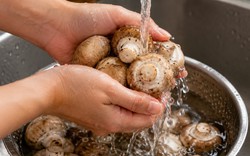 Tiến sĩ dinh dưỡng chỉ ra sai lầm khi ăn nấm thay thịt, rau