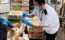 Kiểm tra chiếc xe màu trắng từ Đồng Nai vào TP.HCM lúc rạng sáng, phát hiện điều bất thường bên trong