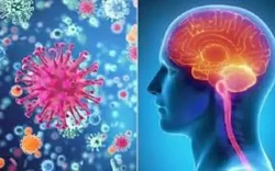 Cà Mau ghi nhận thêm 2 ca viêm não mô cầu, một người tử vong