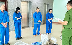 Ra quyết định khởi tố Trần Thị Kiều Trinh 38 tuổi và 3 người thân