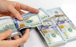 Cho bạn vay 105.000 USD, hơn 10 năm sau ra tòa: Vì sao giao dịch bị tuyên vô hiệu?
