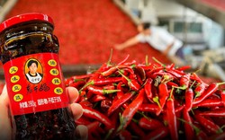 Thương hiệu tương ớt nổi tiếng bị kêu gọi tẩy chay vì nghi dùng AI thay thế hàng trăm công nhân