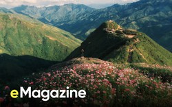 Tà Xùa, nơi ta tìm thấy niềm vui được kinh ngạc trước thế gian