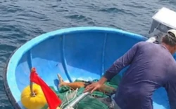 Ra biển đánh cá, người đàn ông tử vong trên chiếc thúng trôi dạt