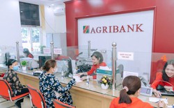 Lãi suất ngày 31/10 tại Agribank, Vietcombank, BIDV, VietinBank, MB, VPBank, Techcombank, Sacombank, HDBank,...
