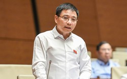 Phó Thủ tướng: Dự kiến giảm giá điện 2%, đưa thuế tiêu thụ đặc biệt xăng về 0%