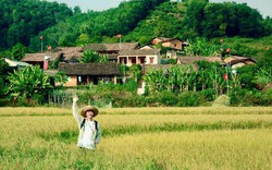 Phát hiện bản làng gần 160 hộ ở Việt Nam, mùa xuân ngập sắc vàng, hồng, trắng như tấm thổ cẩm khổng lồ