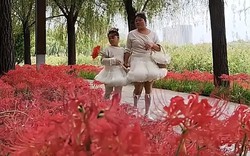 Một đoạn video "mẹ con tiểu thư đi dạo" khiến nhiều người nhức mắt: Xin khiêm tốn một chút được không?