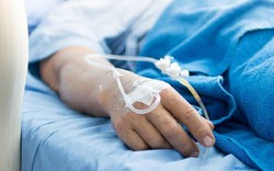 Đang hái chè, người phụ nữ bị con vật màu trắng cắn nguy kịch