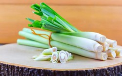 Lời khuyên đến tất cả các gia đình đang trồng cây sả để ăn