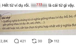 Lên mạng thắc mắc 1 câu, cô gái khiến nhiều người ngỡ ngàng: Hai từ Tiếng Việt này mà cũng không biết?