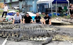 Bắt được "quái thú" dài 5,5 m ở nước láng giềng Việt Nam: Phải đặt bẫy suốt 3 ngày mới hạ được