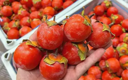 Mùa khô hanh nên ăn gì? 3 loại trái cây quen thuộc: Vừa ngon vừa giàu dưỡng chất