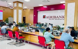 Lãi suất ngân hàng 6/10 tại Agribank, Vietcombank, BIDV, VietinBank, VPBank, MB, Techcombank, Sacombank, HDBank,...
