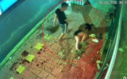 Danh tính gã chồng đánh đập vợ dã man trên đường phố Gia Lai