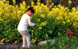 6 biểu hiện nhỏ cho thấy con yêu bố mẹ nhiều hơn chúng ta nghĩ rất nhiều