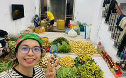 Cặp vợ chồng cất bằng đại học đi bán rau, từng bị mối hàng lừa, đi xin lỗi từng khách và thành quả sau 2 năm