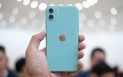 Chiếc iPhone "quốc dân" từng được bán hơn 20 triệu đồng nay giá chỉ còn 5 triệu, đáng mua nhất lúc này