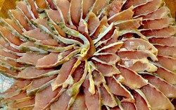 Loại cá được ví như "vua hạ đường huyết", cực giàu Omega-3, dưỡng tim, kháng viêm: Chợ Việt bán la liệt
