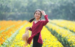 Phát hiện ngôi làng ở Việt Nam có hơn 2.000 giống hoa 'không chạm đất', mỗi lần chăm cây phải làm việc này