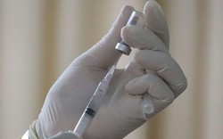 Nhật Bản thử nghiệm lâm sàng vaccine ngừa virus Nipah