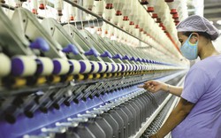 "Mỏ vàng" nào đưa Việt Nam chạm mốc gần 40 tỷ USD, khiến Mỹ chi hơn 17 tỷ USD mỗi năm?