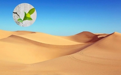 Phát minh làm rung chuyển ngành xây dựng: Tạo ra bê tông từ thứ tưởng không thể dùng, bước ngoặt cho vật liệu phổ biến thứ 2 thế giới