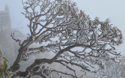 Miền Bắc đón đợt không khí lạnh mạnh bao phủ, khi nào rét đậm đạt đỉnh?