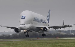 Airbus BelugaST-5: ‘Cá voi trắng’ của bầu trời chính thức nghỉ hưu
