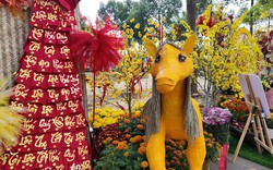 Thông tin mới nhất về linh vật ngựa "mi cong, tóc dài" ở miền Tây