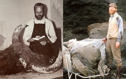 Các nhà khoa học đã nấu một con bò rừng 50.000 năm tuổi để ăn và nhận xét: "Ngon tuyệt nhưng dai kinh khủng!"