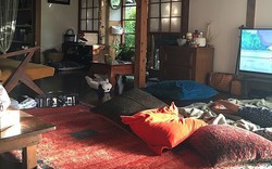 Không phải mê tín nhưng phòng khách mà có 4 món đồ này, gia đình không bao giờ khá lên được