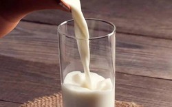 Kẻ thù của axit uric cao nằm ngay trên bàn ăn! Hãy ăn những loại này sẽ giảm đến 50% nguy cơ mắc bệnh gút