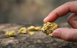 Phát hiện thêm 13.000 kg vàng trị giá 31.000 tỷ đồng bị bỏ ngoài hố