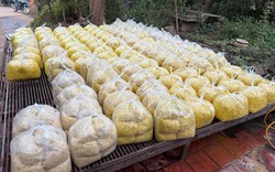 Trộn chất gây ung thư vào gần 2 tấn riềng xay bán ra chợ ở Bắc Ninh