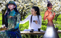 "Chim công làng múa" Dương Lệ Bình U70 vẫn dáng thẳng lưng thon: Rất chăm dùng 2 "món" để nuôi dưỡng khí huyết, bổ nội tiết