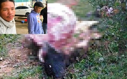 Thiếu tiền tiêu Tết, 2 thanh niên trộm trâu xẻ thịt mang bán