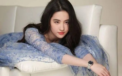 Muốn có làn da căng bóng đón Tết, phụ nữ ngoài 30 tuổi nên ăn nhiều loại thực phẩm này để bổ sung collagen tự nhiên cho cơ thể